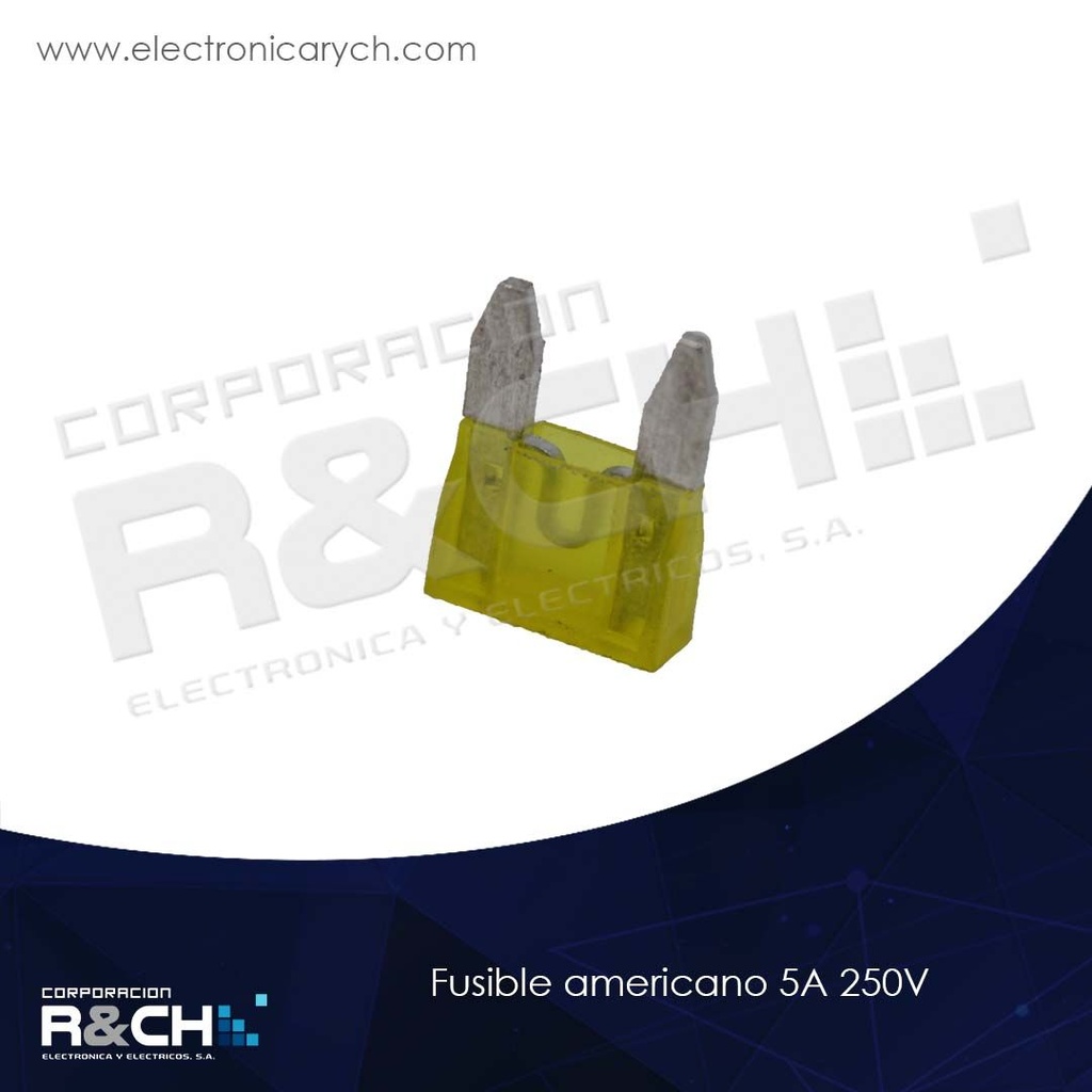 FS-5/5A250V fusible americano 5A 250V