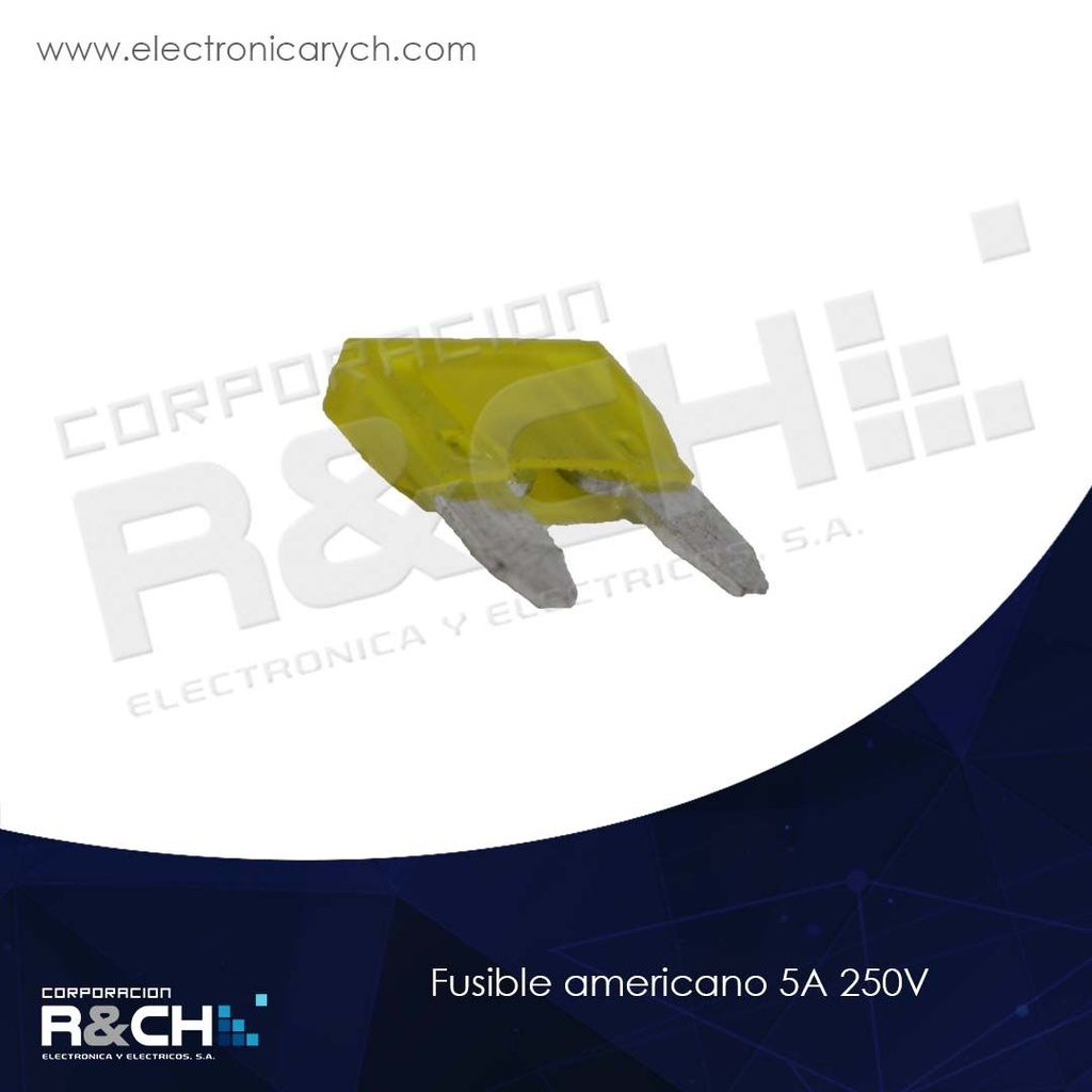 FS-5/5A250V fusible americano 5A 250V