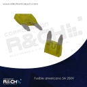 FS-5/5A250V fusible americano 5A 250V