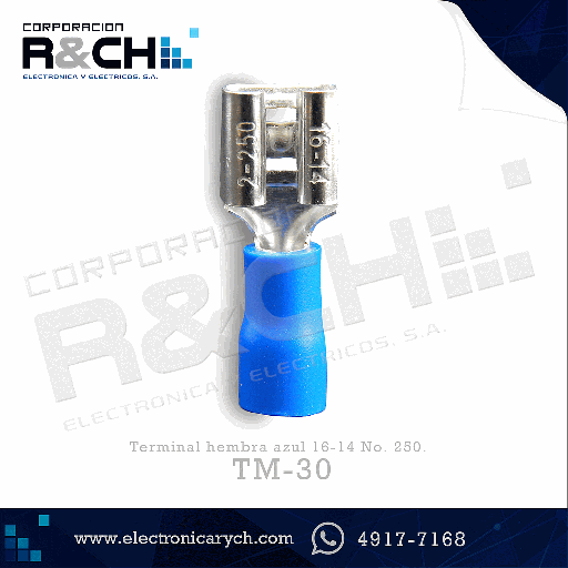 [TM-30] TM-30 terminal hembra azul 16-14 No. 250.