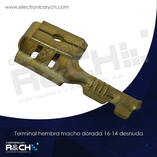 [TM-30DHM] TM-30DHM terminal hembra macho dorada 16-14 desnuda