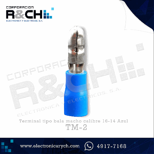 [TM-2] TM-2 terminal tipo bala macho calibre 16-14 azul