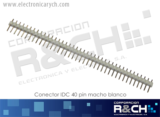 CN-IDC40MB conector IDC 40 pin macho blanco